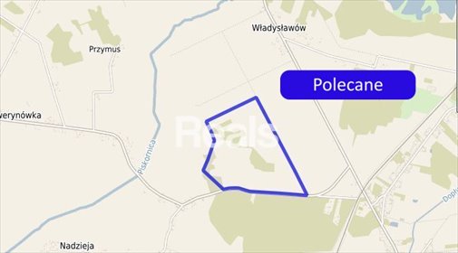 Duża działka  rolna 51 ha działka Nadzieja