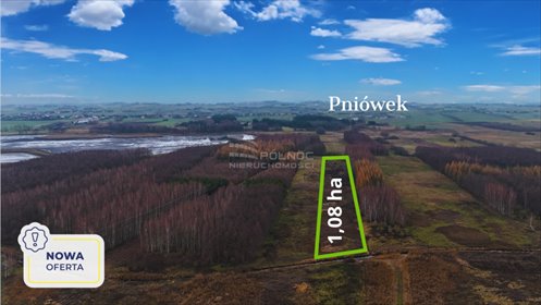 działka na sprzedaż 10800m2 działka Pniówek