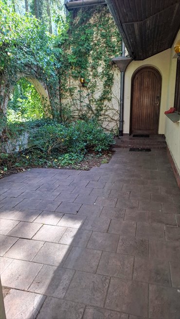 Unikalny dom z artystycznym duchem, 6 pokoi, garaż dom Łomianki Dąbrowa, Dąbrowa Zachodnia, Dąbrowa Zachodnia, Modrzewiowa