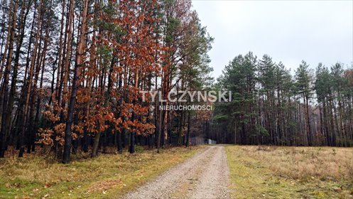 działka na sprzedaż 1020m2 działka Krzyżówka