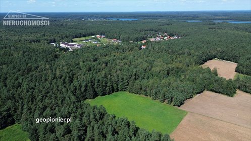 działka na sprzedaż 20000m2 działka Międzylesie, Wrzosowa