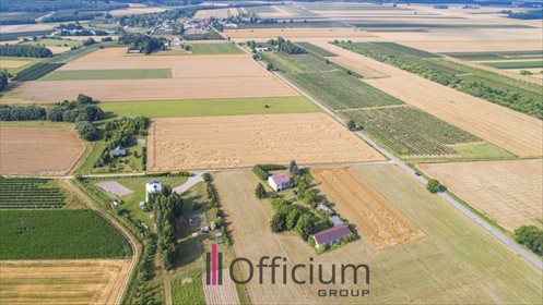 Dom na sprzedaż Zawady 300m2 Foto 3