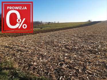 działka na sprzedaż 2900m2 działka Wojnicz, Świętej Kingi