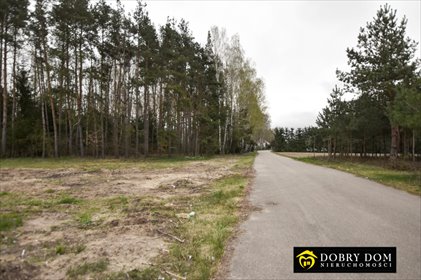 działka na sprzedaż 29324m2 działka Lewki