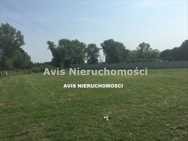 Działka inna na sprzedaż Komorów 2 700m2 Foto 2