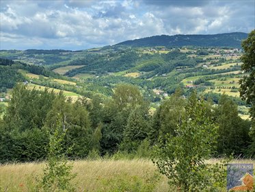 działka na sprzedaż 4400m2 działka Koszary