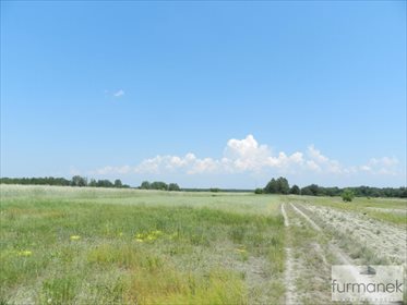 Działka rolna na sprzedaż Gózd Lipiński 11 400m2 Foto 2