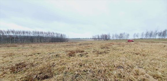 działka na sprzedaż 3600m2 działka Wola Kalinowska, ul. Kaliski