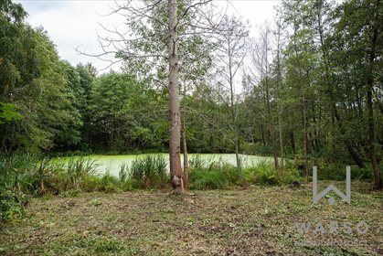 Działka budowlana na sprzedaż Gostynin, Bierzewice, Kutnowska 10 070m2 Foto 7