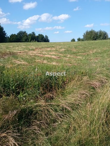 działka na sprzedaż 1335m2 działka Rzeszów