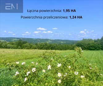 działka na sprzedaż 19500m2 działka Hłudno