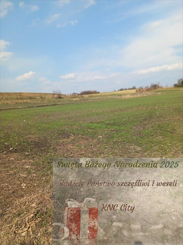 działka na sprzedaż 6600m2 działka Jakubowice Murowane