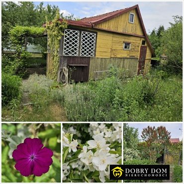Działka rekreacyjna z domkiem, woda i prąd, 330 m² działka Nowodworce