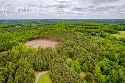 działka na sprzedaż 4297m2 działka Radziejowice, Do Lasu