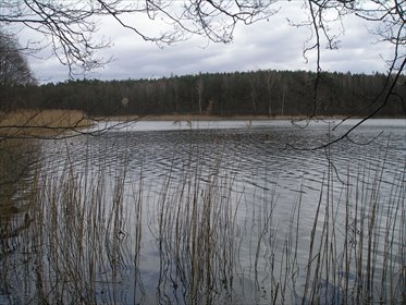 działka na sprzedaż 784m2 działka Chłopowo