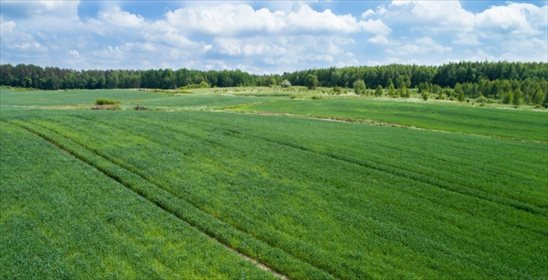 działka na sprzedaż 1378m2 działka Morąg