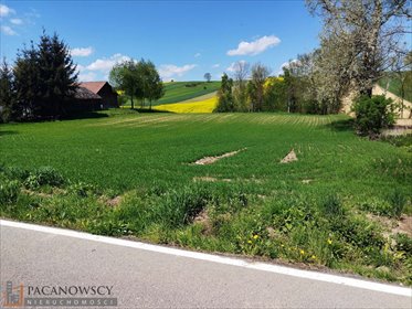 Działka 31 494 m² w Kacicach (bud.-rolna, media, asfalt) działka Kacice
