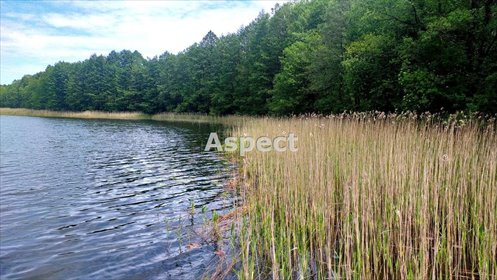 działka na sprzedaż 9879m2 działka Dubowo