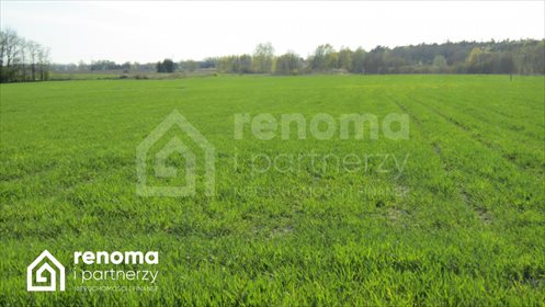 działka na sprzedaż 485m2 działka Międzyzdroje