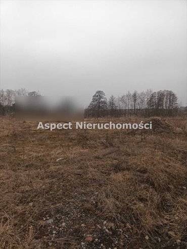 Działka budowlana na sprzedaż Żory, Baranowice 8 627m2 Foto 4