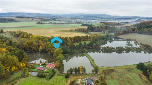 Działki nad stawami w Rybnicy – spokój i natura działka Rybnica