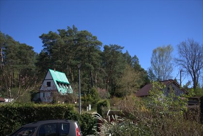Urokliwy dom 80 m2 w Drawieńskim Parku Narodowym dom Rościn