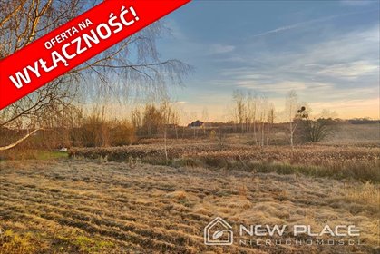 Działka 1100 m² w Wilkszynie z dobrym dojazdem polecam działka Wilkszyn, Wesoła