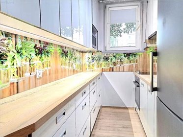 mieszkanie na wynajem 50m2 mieszkanie Bytom, Podhalańska