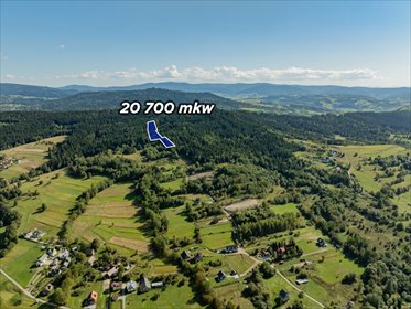 Leśna działka 20 700 m² w Kasina Wielka - zapraszam działka Kasina Wielka