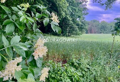 Na sprzedaż działka 7 812 m² z WZ i dostępem do jeziora działka Rzeck