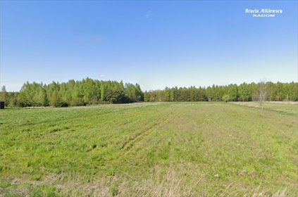 Działka budowlana 7100 m² z mediami Kozłów - spokojna okolica działka Kozłów, Kozłów