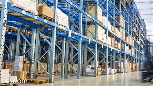 lokal użytkowy na wynajem 1000m2 lokal użytkowy Warszawa, Praga Północ