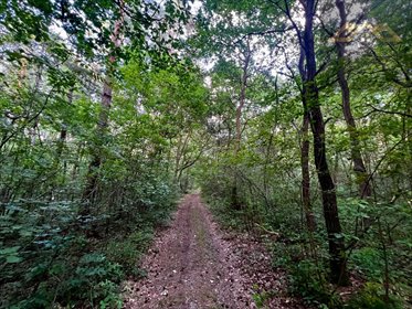 działka na sprzedaż 9400m2 działka Perła