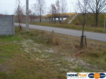działka na sprzedaż 22000m2 działka Emilianów