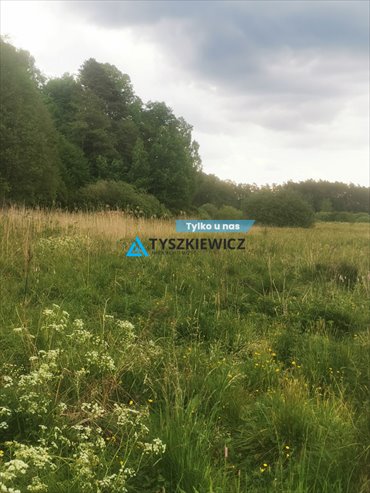 działka na sprzedaż 21600m2 działka Osieczna