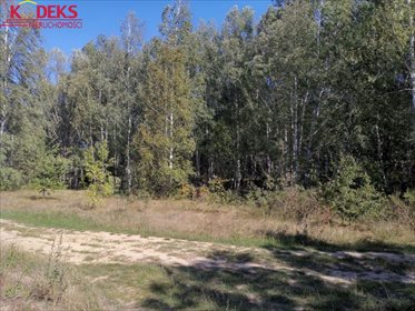 Działka rolna na sprzedaż Stare Płudy 15 400m2 Foto 3