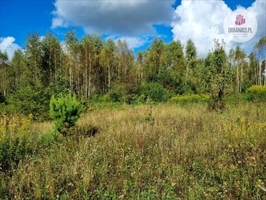 działka na sprzedaż 28425m2 działka Mokiny, Mokiny