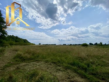 działka na sprzedaż 3000m2 działka Żyrów