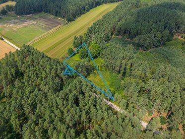 działka na sprzedaż 8246m2 działka Dobra, Leśna