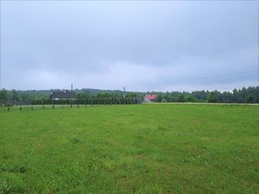 Działka budowlana na sprzedaż Pępice 1 238m2 Foto 5