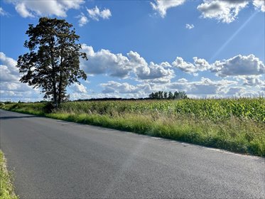działka na sprzedaż 50308m2 działka Kębliny, Strykowska