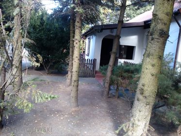 Dom na sprzedaż Celinów 45 888m2 Foto 5