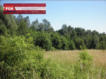 Działka 12 120 m² pod zabudowę w Polanicy-Zdroju działka Polanica-Zdrój