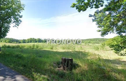 działka na sprzedaż 196800m2 działka Cieszyno