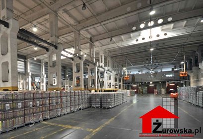 Kompleks logistyczny 20 ha, hala 20 000 m² - polecam! lokal użytkowy Katowice