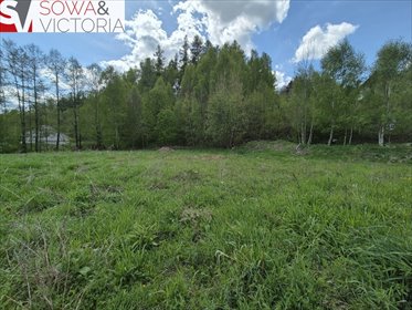 dom na sprzedaż 128m2 dom Głuszyca