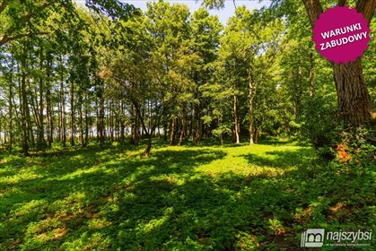 działka na sprzedaż 3000m2 działka Wolin, obrzeża