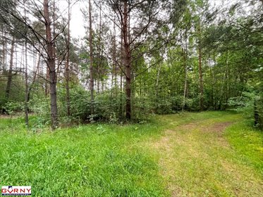 działka na sprzedaż 1894m2 działka Ostrów