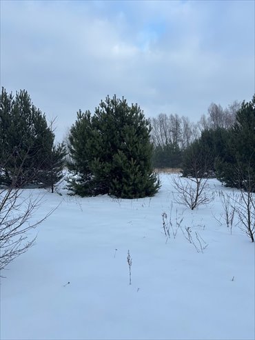 działka na sprzedaż 1273m2 działka Borzęcin Duży