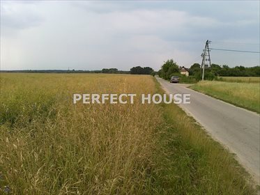 Działka budowlana na sprzedaż Jerzyn, Gorzkie Pole 4 931m2 Foto 1